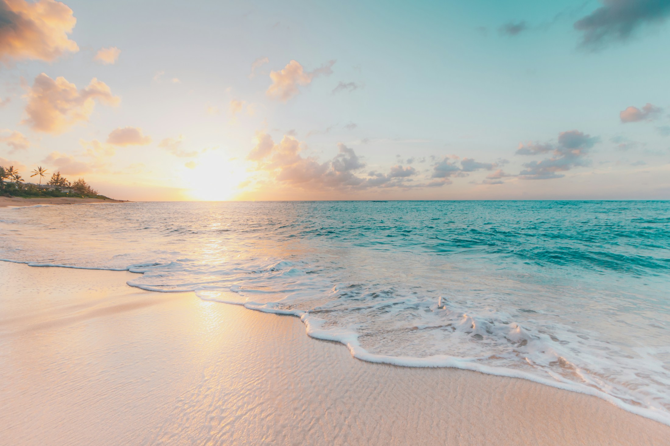 Turquoise Indian Ocean meeting a palm-lined stretch of white sand